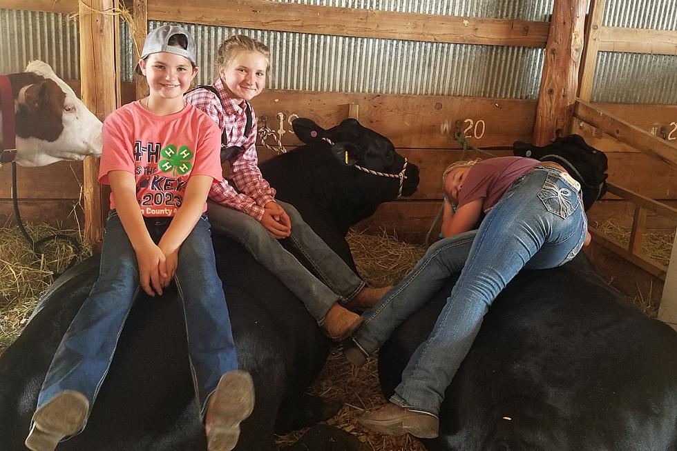 4-H Results From the Benton County Fair