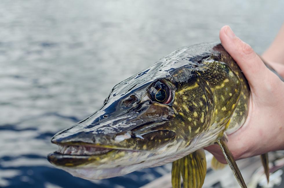 MN DNR Host Open Houses on Fishing Changes