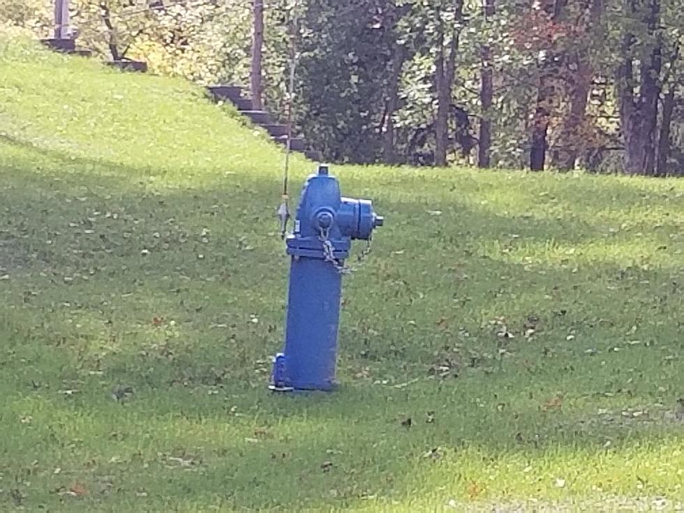 Why Are There Blue Hydrants in St. Cloud?