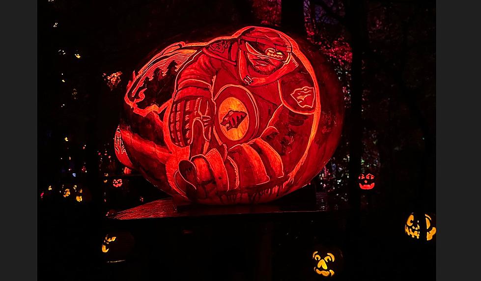 Check Out These EPIC Pumpkins At The Minnesota Zoo&#8217;s Jack-O-Lantern Spectacular! [GALLERY]