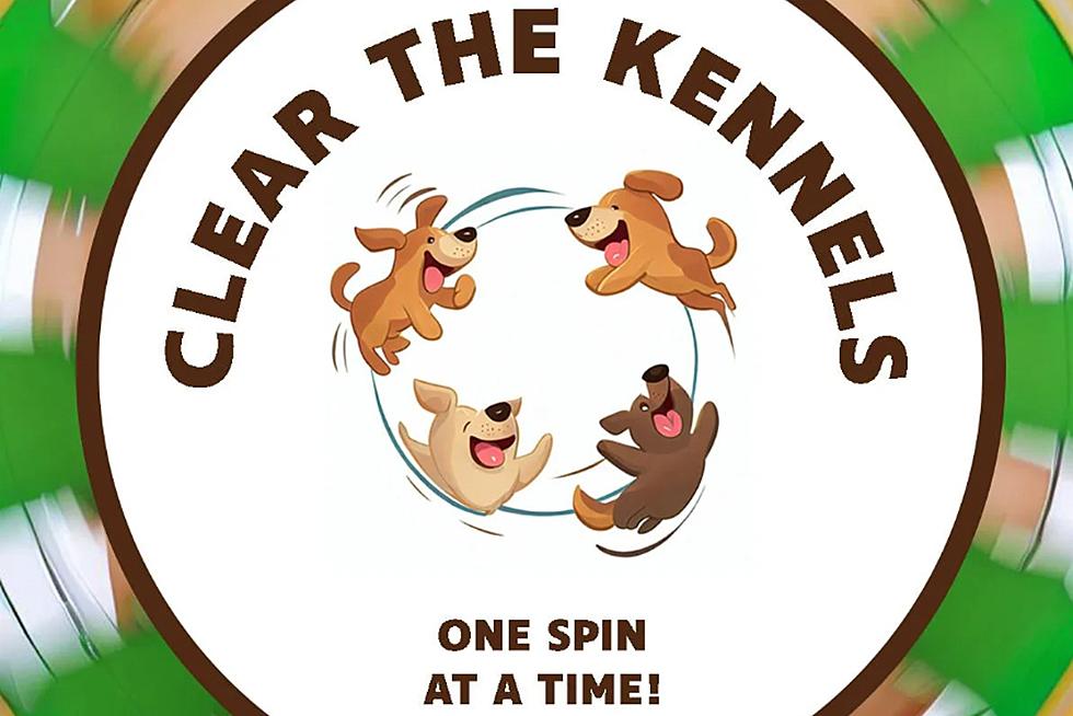 TCHS Hosts “Clear The Kennels” Adoption Event