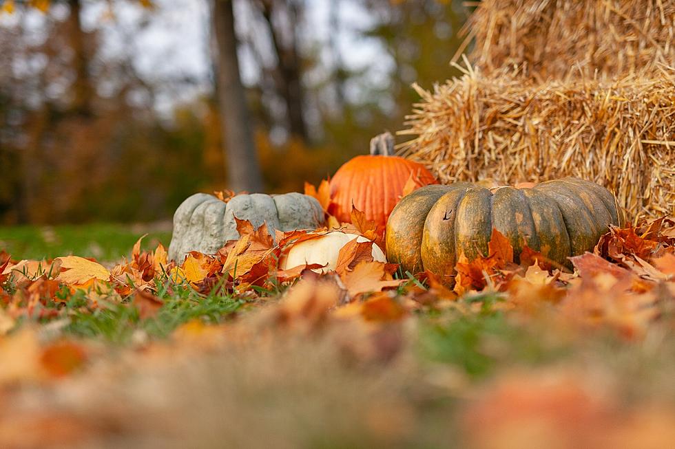 AROUND TOWN &#8211; Enjoy the fall weather with these events!