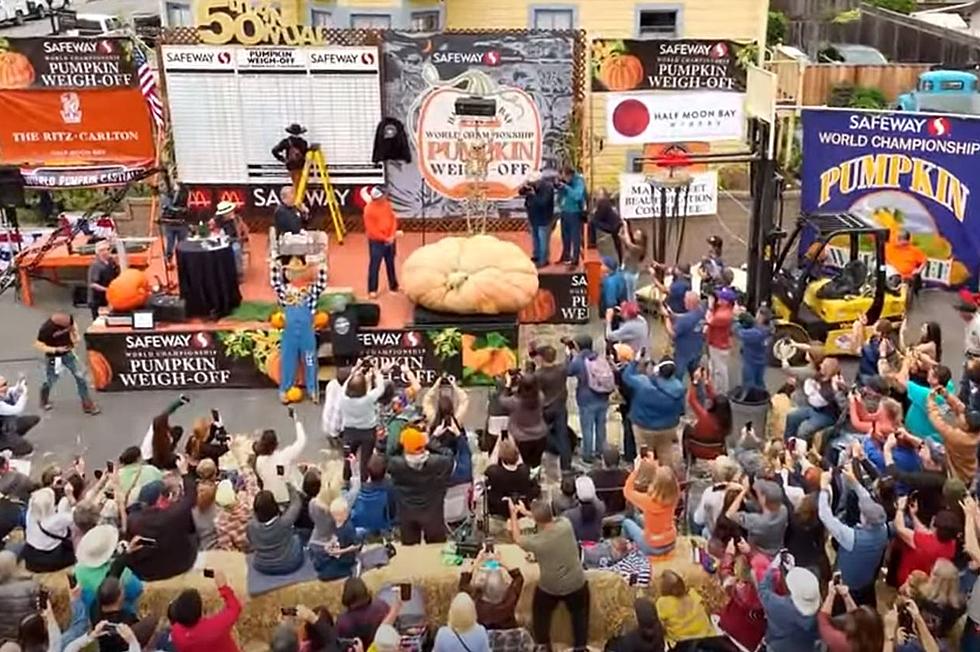 World&#8217;s Largest Pumpkin in Foley Wednesday