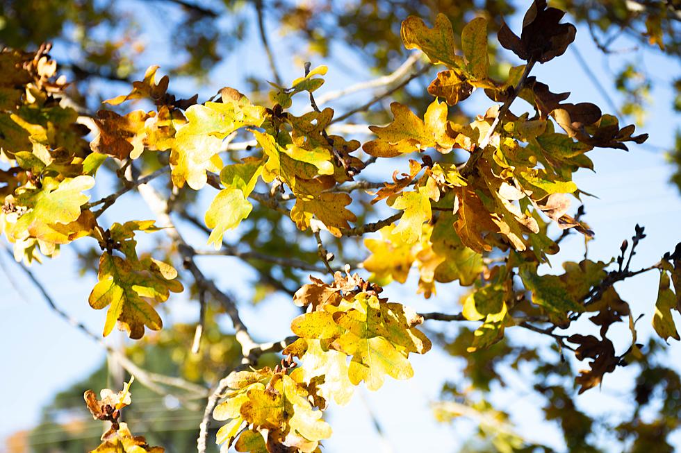 Update: St. Cloud Records Hottest October Day on Record