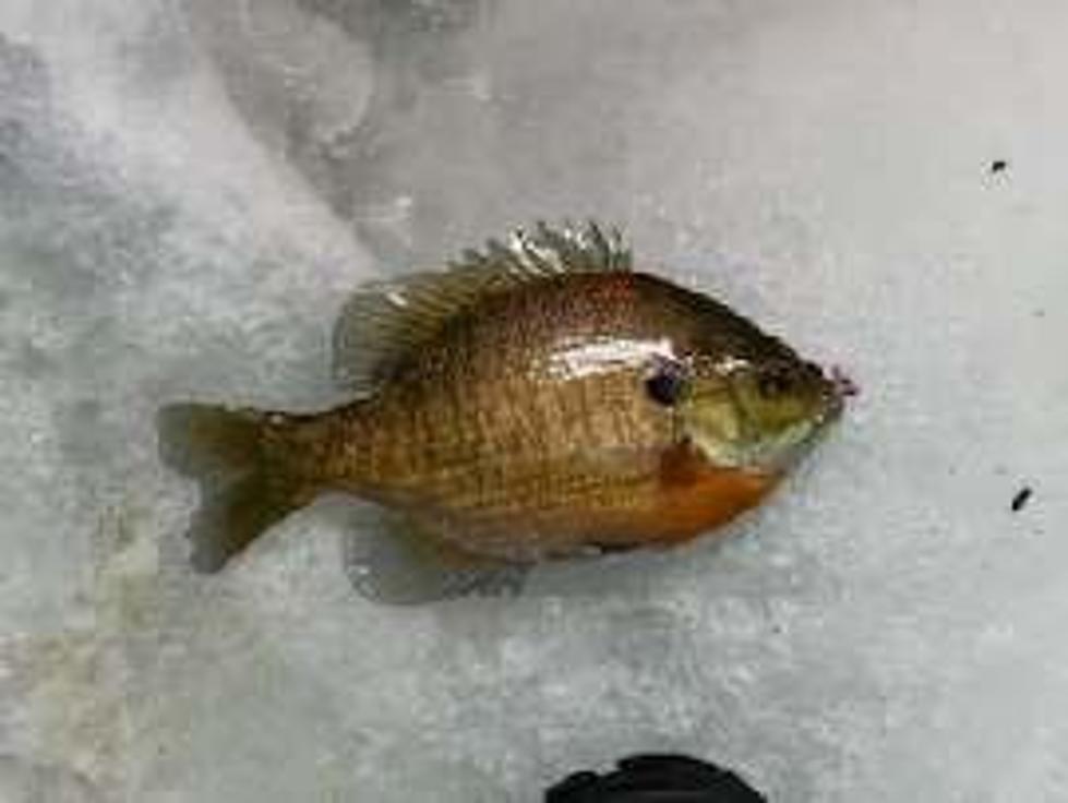 Ice Fishing Conditions Improving Slowly in Central MN