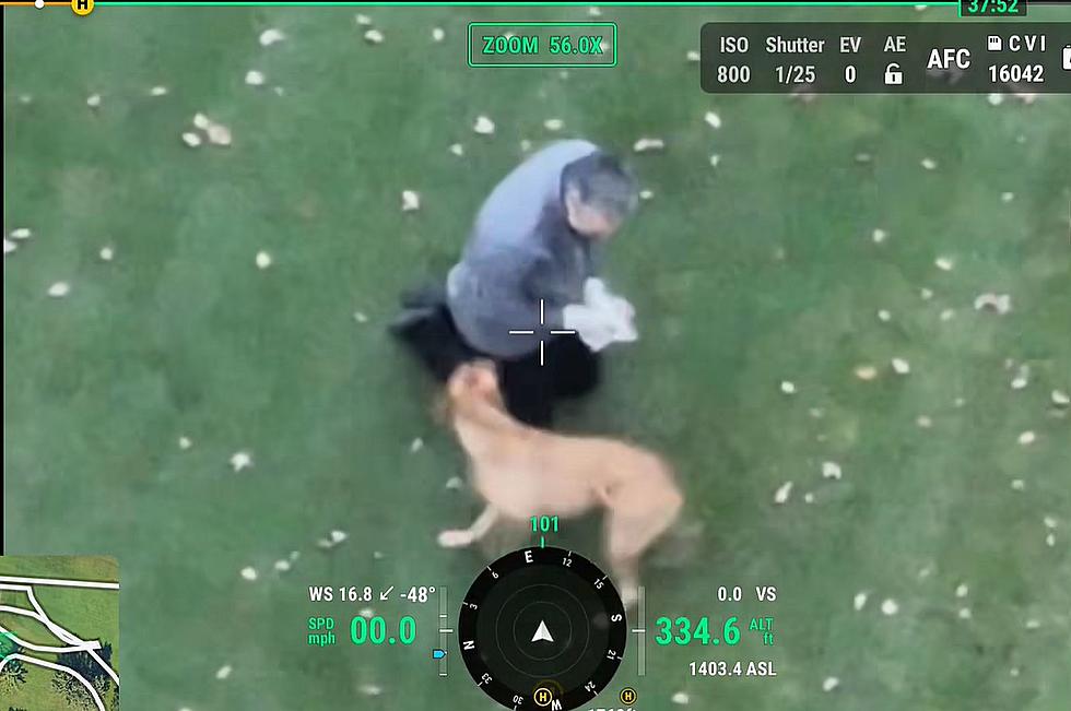 Civil Engineer Uses Drone to Reunite Lost Dog, Owner in St. Cloud