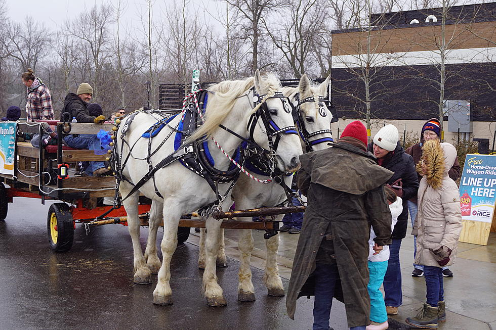 No Dampened Spirits For Jingle & Mingle