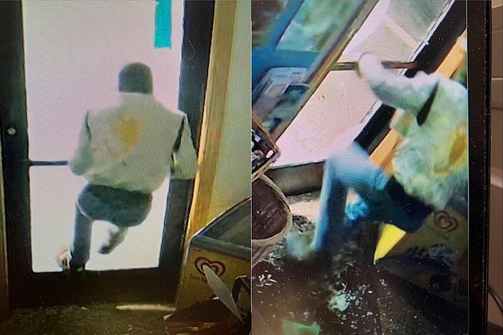 Alexandria Police Looking for Suspect in Business Burglary