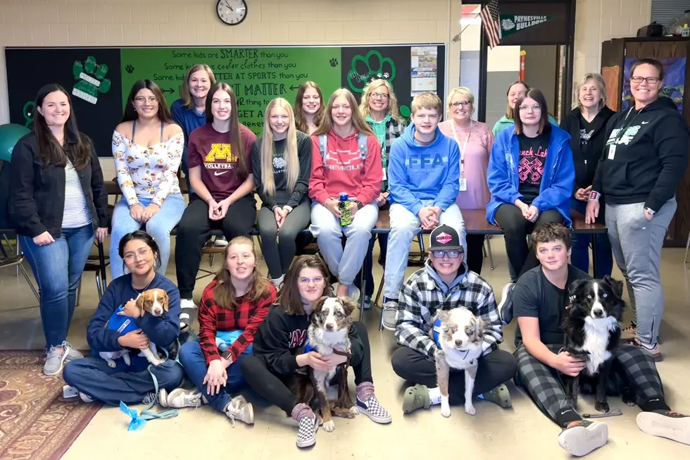 Dogs Helping To Build Mental Health At Paynesville High School