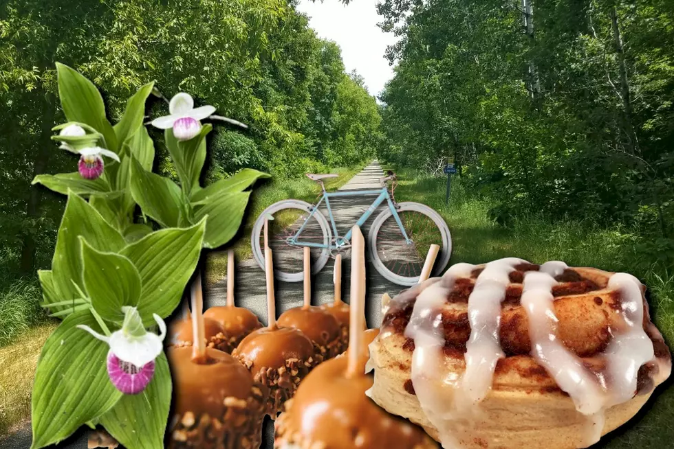 From Caramel Rolls to State Flowers: Cycling Adventures on The Lake Wobegon Trail