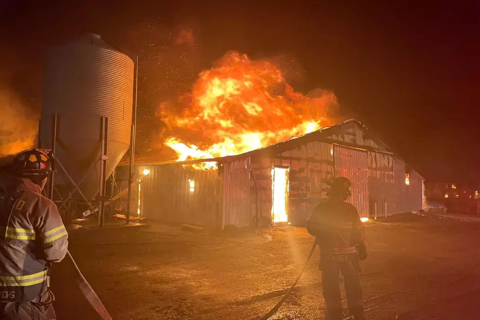 7,000 Turkeys Perish in Stearns County Barn Fire