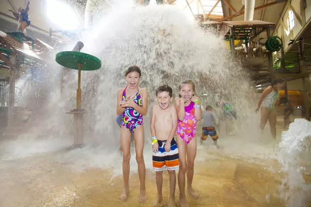 Explore Minnesota Indoor Water Parks This Summer