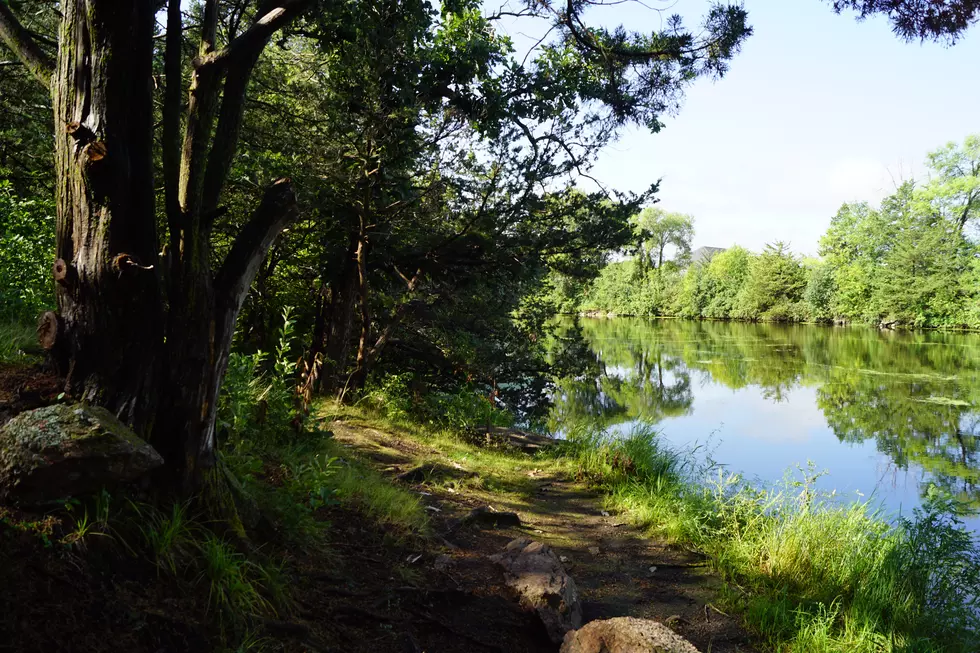 Clean Up Efforts For Cold Spring Park To Enter 3rd Year Of Work