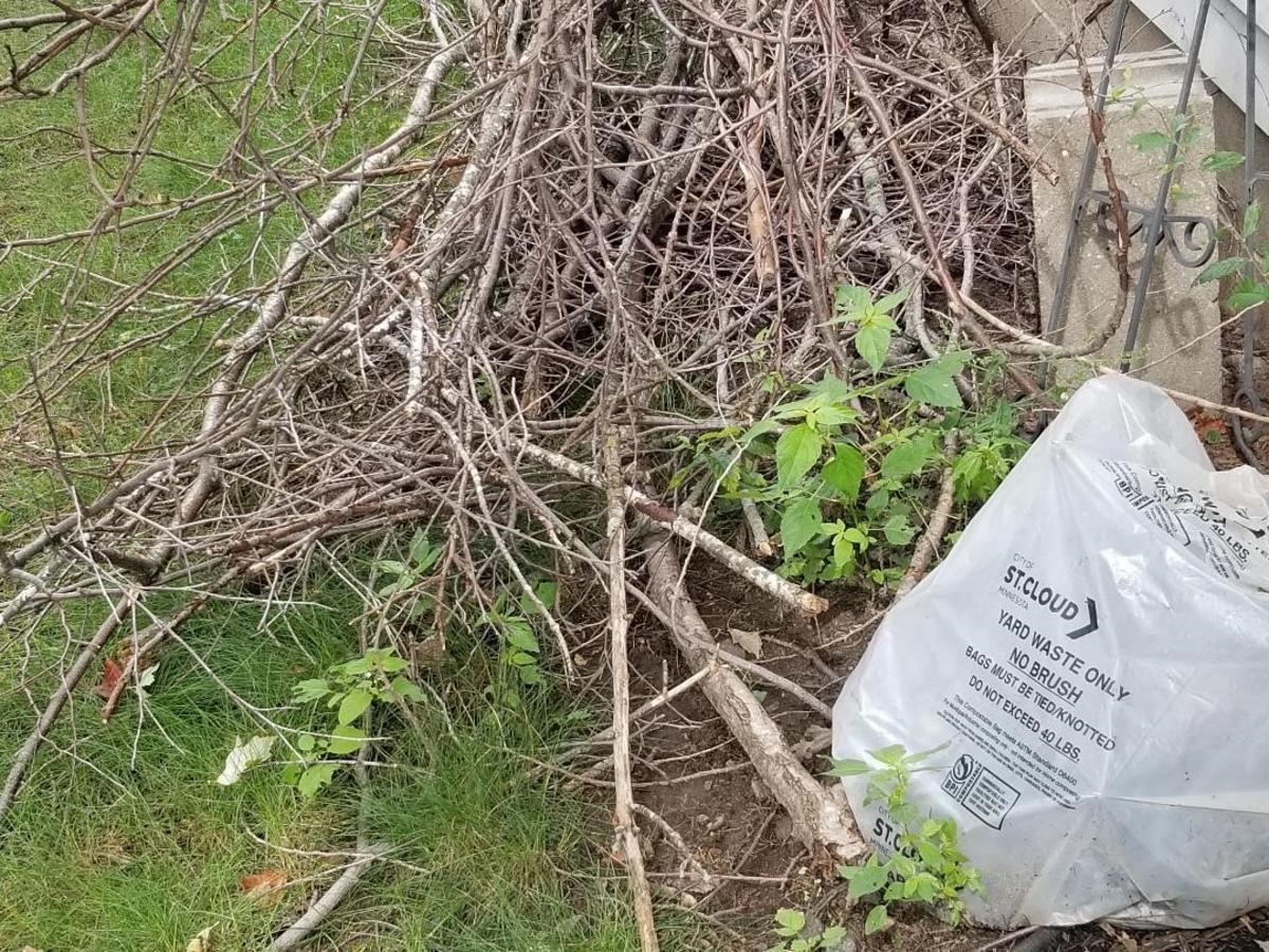 What Yard Waste Can You Bring To St. Cloud’s Compost Site?