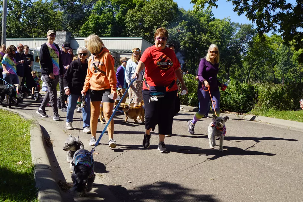Tri-County Humane Society’s Woofstock A Paw Raising Success