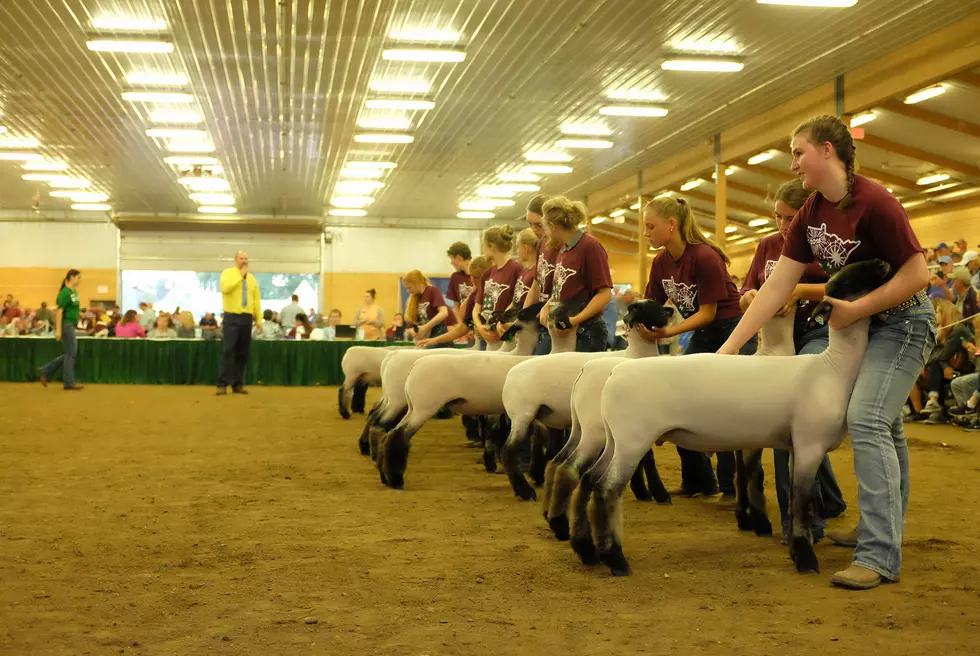 PHOTO courtesy of Minnesota State Fair