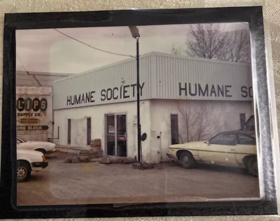 Humane Society mid 1980s (photo courtesy of Vicki Davis)