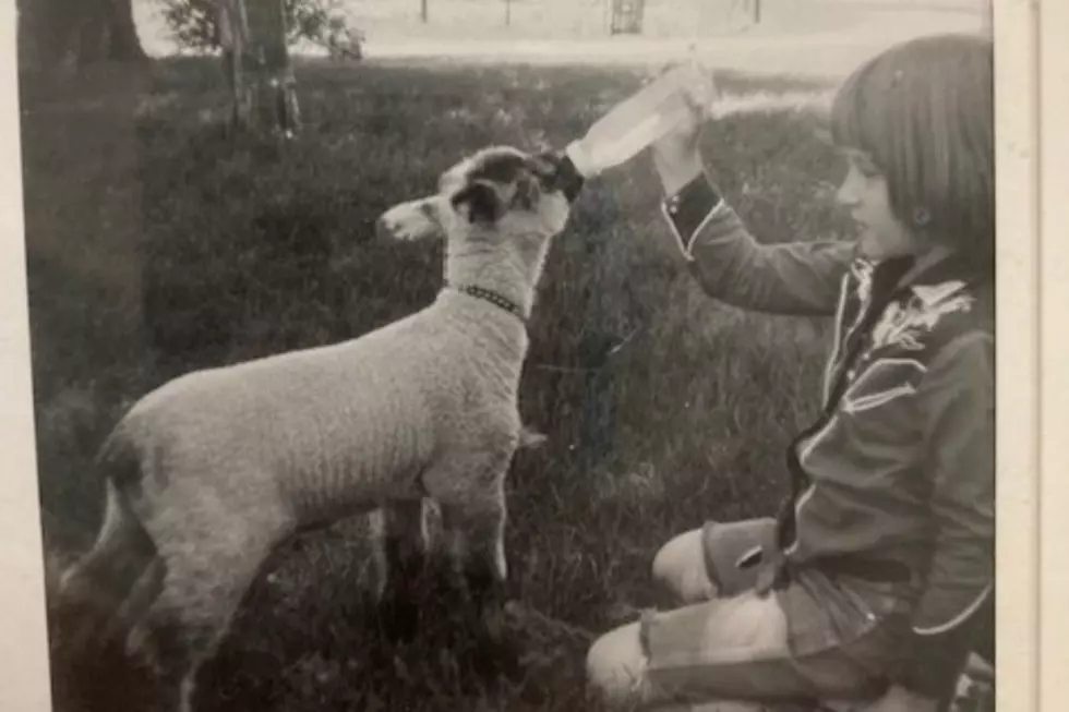 Young Vicki Davis (photo courtesy of Vicki Davis)