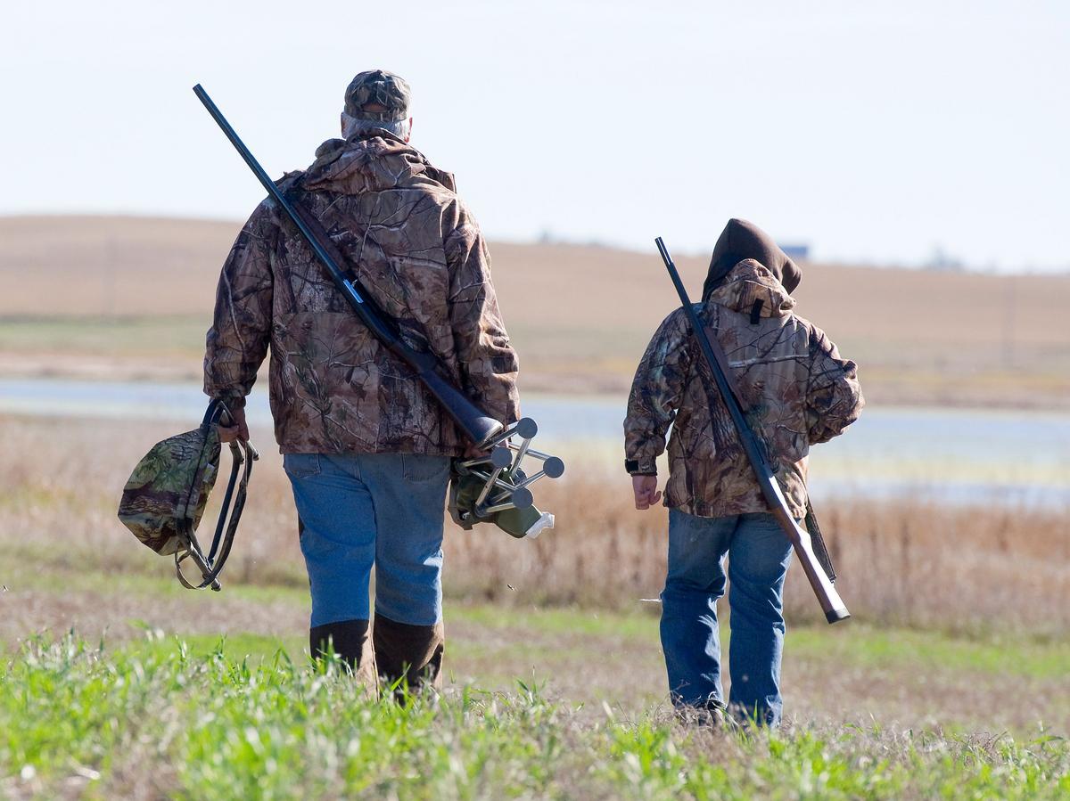 Minnesota Leads The Nation In Grouse Harvest, But Numbers Are Slipping
