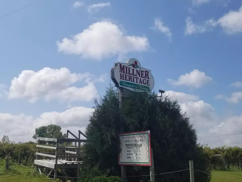Millner Heritage Vineyard