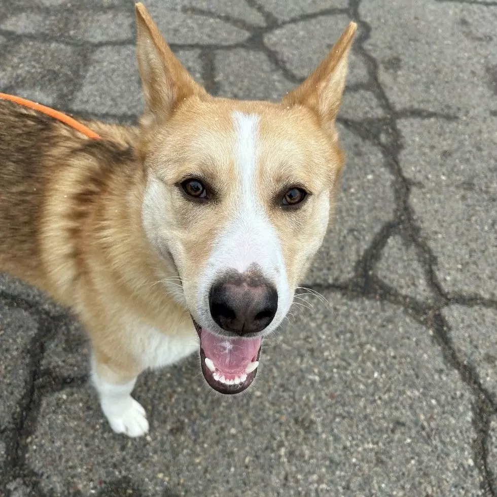 Tri-County Humane Society