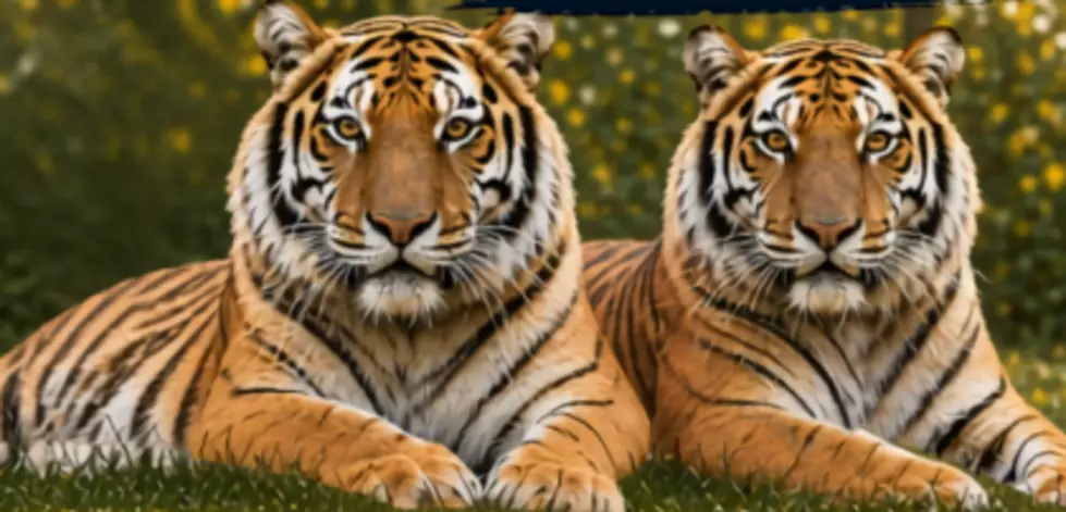 Hemker Park and Zoo