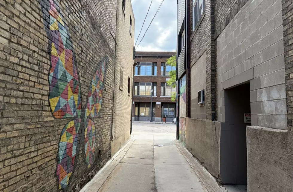 St. Cloud’s Alley Of Art Project Invites Community Ideas