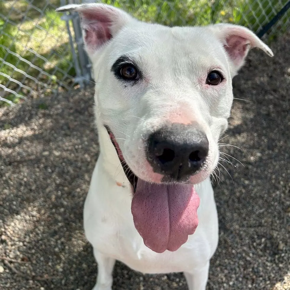 Tri-County Humane Society