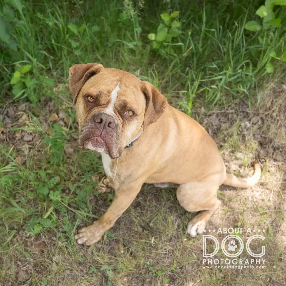 Tri-County Humane Society