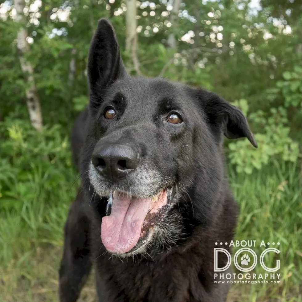 Tri-County Humane Society