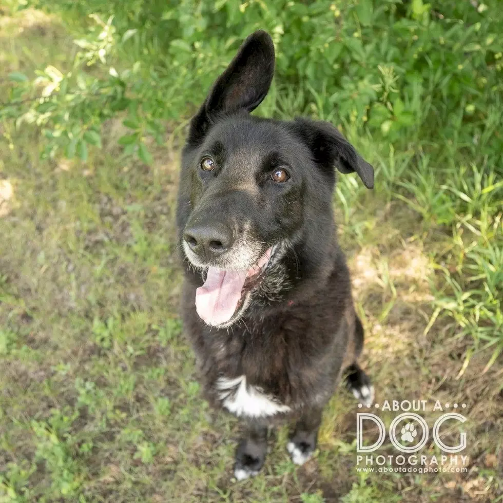 Tri-County Humane Society