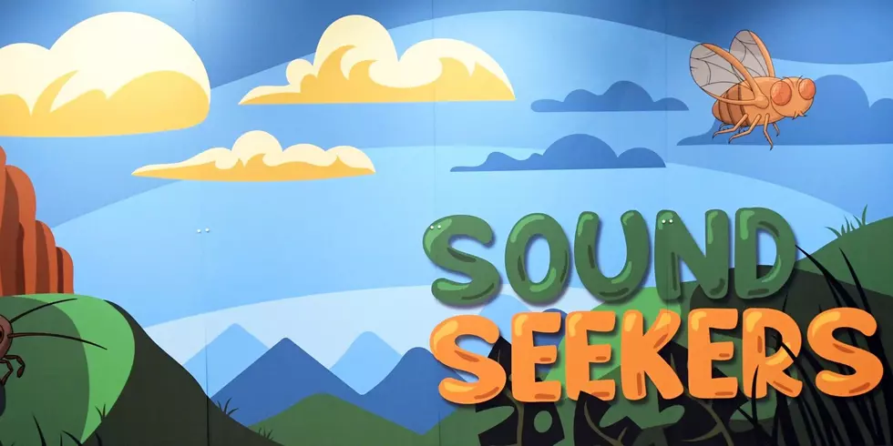 Sound Seekers Exhibit