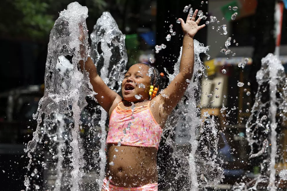 A Pop Up Splash Pad, A Zoo Sleepover, And Live Music All Land This Weekender