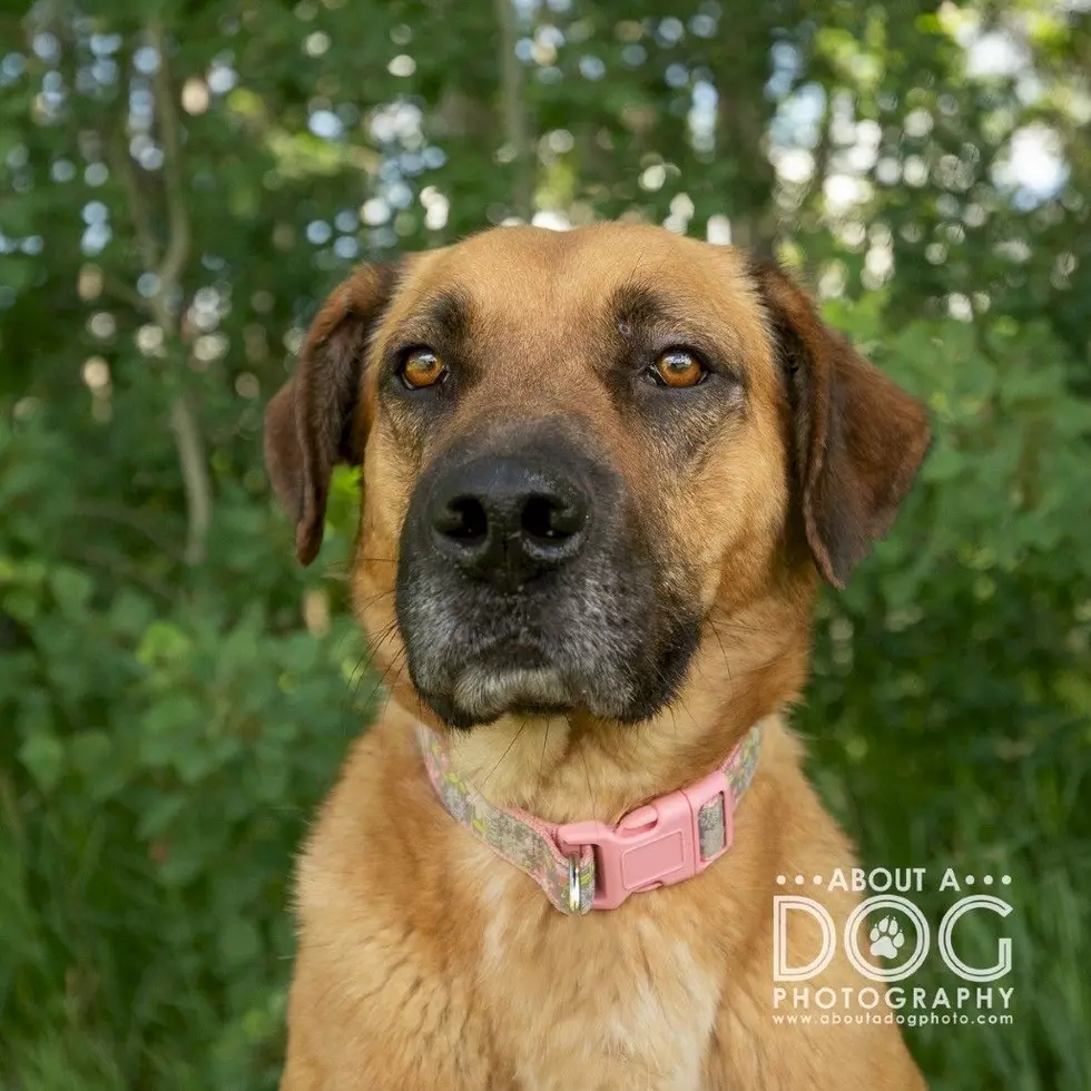 Tri-County Humane Society