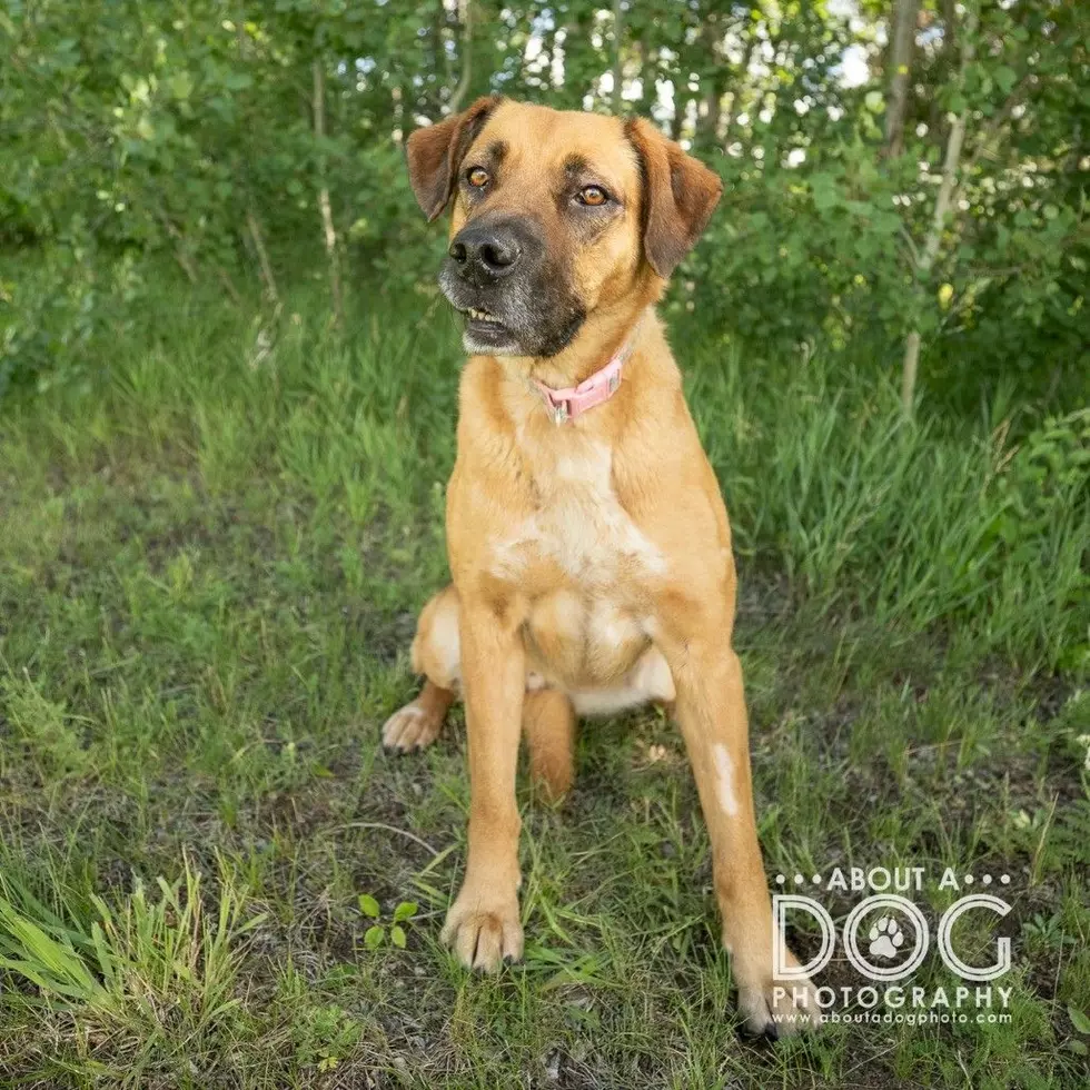 Tri-County Humane Society