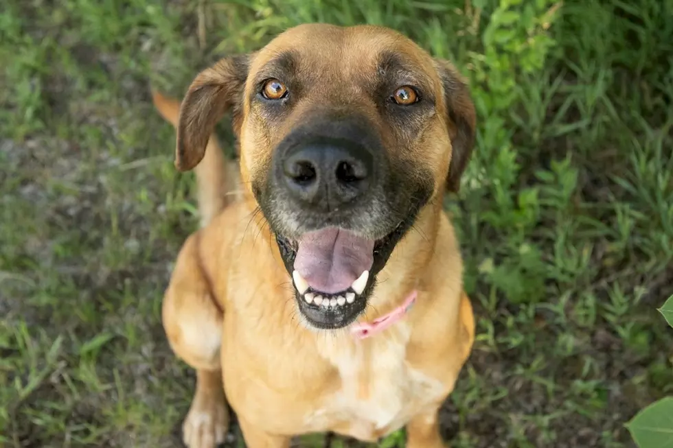 Glory Walked The Granite City Parade And Now She’s Looking For Her People