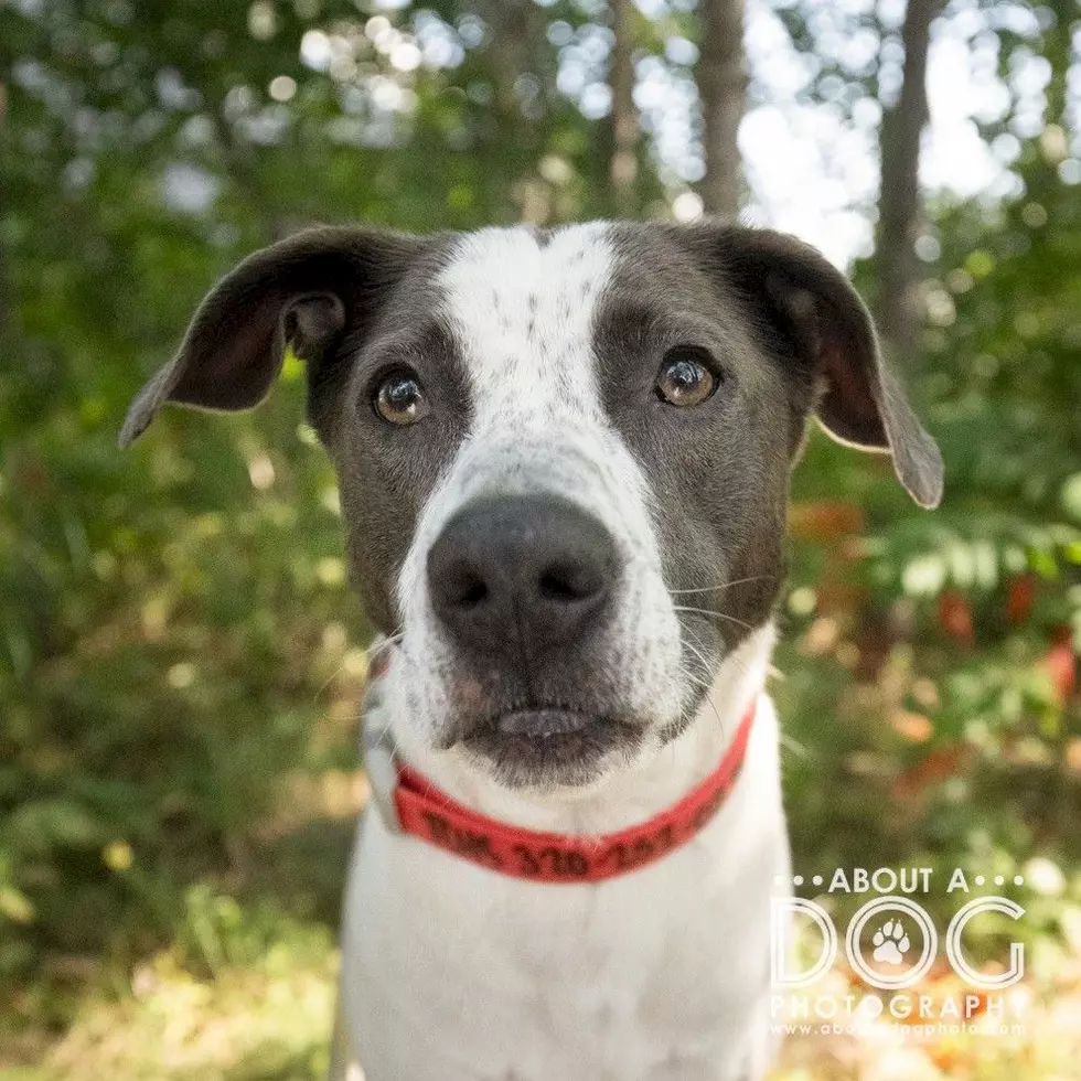 Tri-County Humane Society