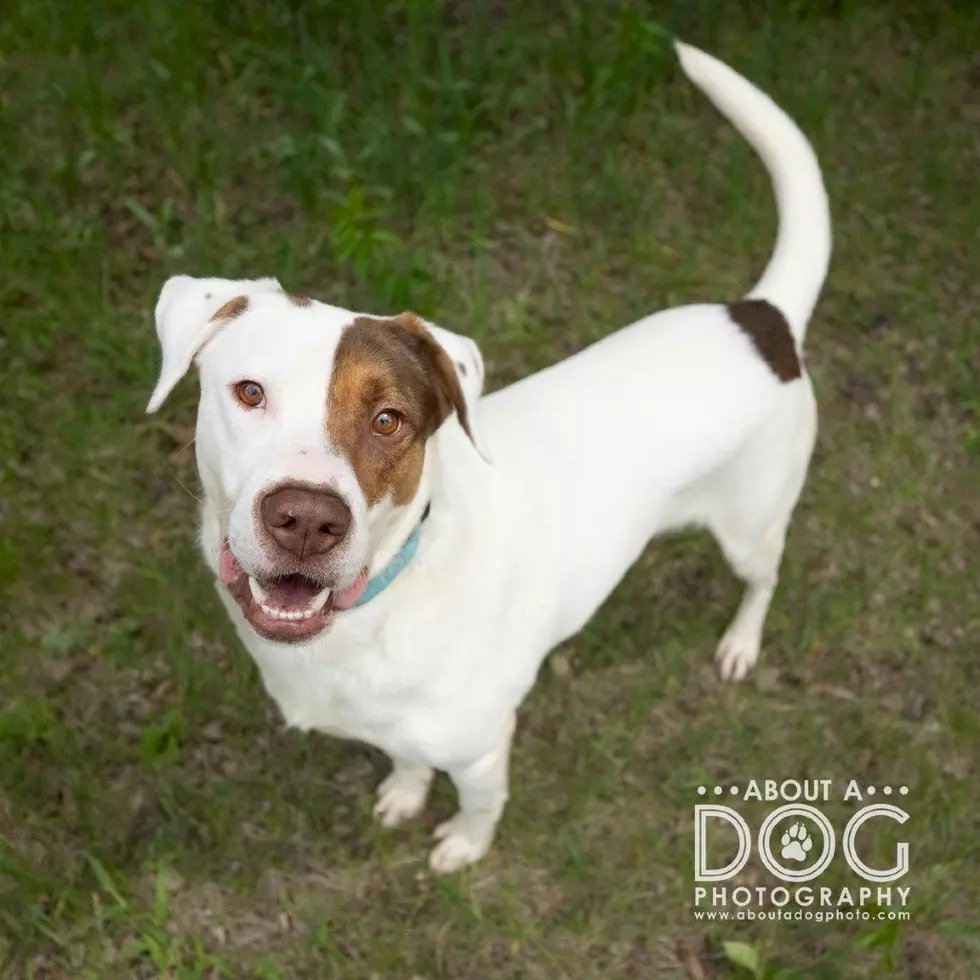 Tri-County Humane Society