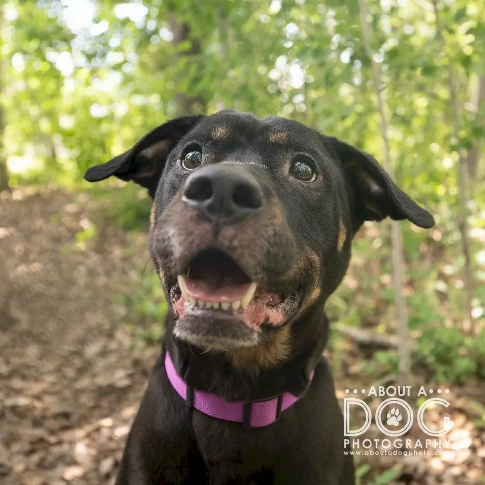 Tri-County Humane Society