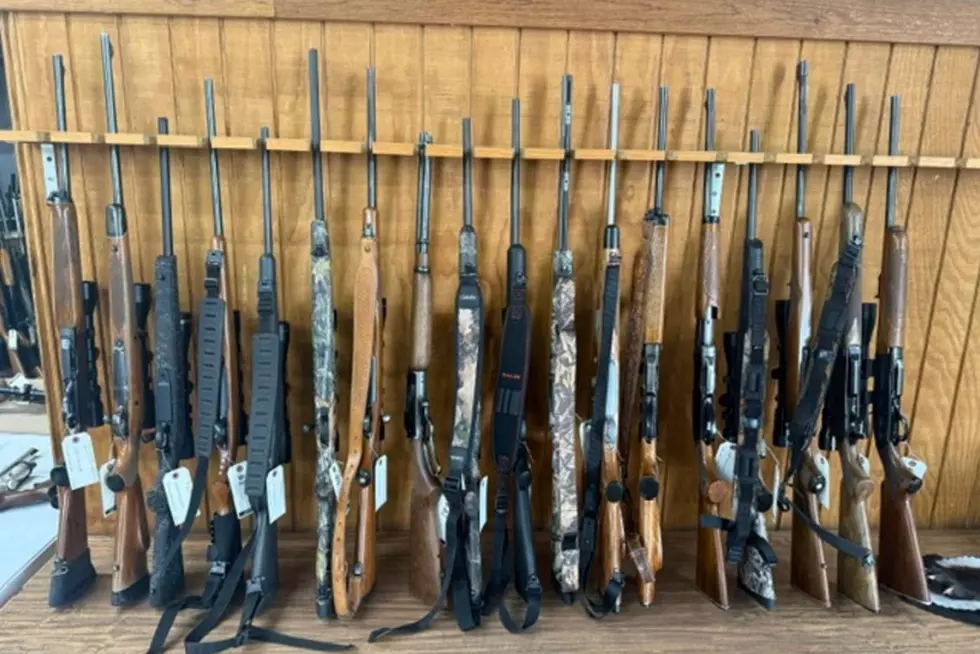 Minnesota DNR Auctions Confiscated Hunting and Fishing Gear Online This Fall