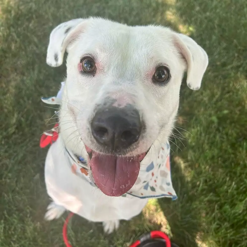 Tri-County Humane Society