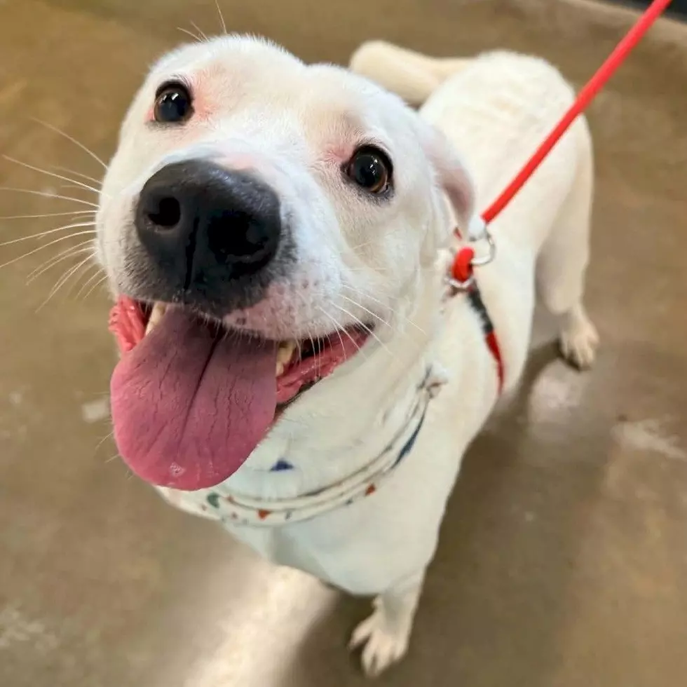 Tri-County Humane Society