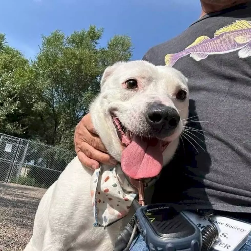 Tri-County Humane Society