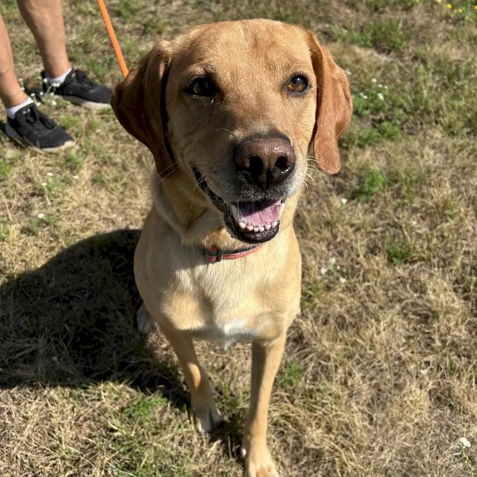 Tri-County Humane Society