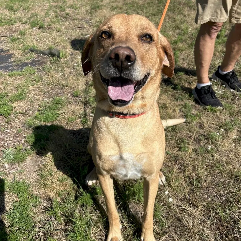Tri-County Humane Society