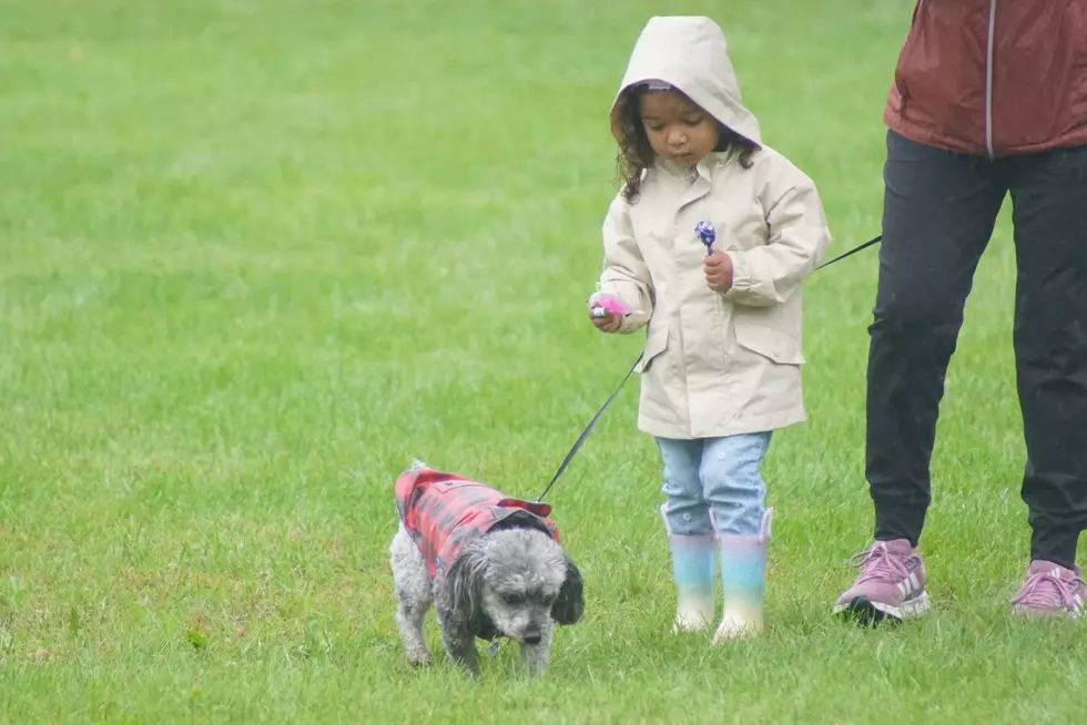 TriCounty Humane Society’s Woofstock Draws Families, Pets, Rain Can’t Stop The Fun [PHOTOS]