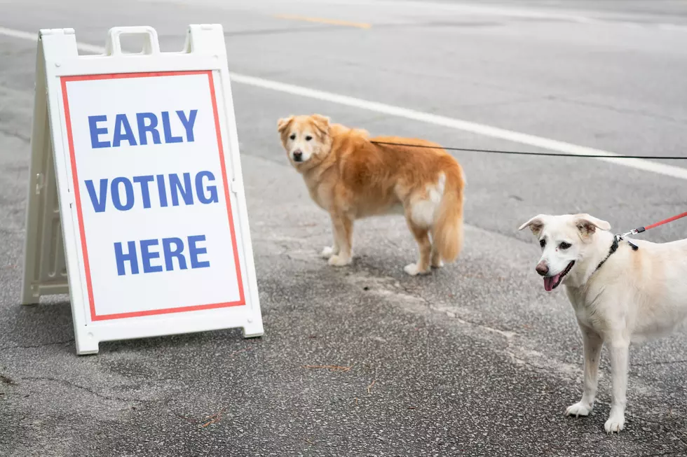 Absentee Voting Starting in Stearns County, Extended Hours Available