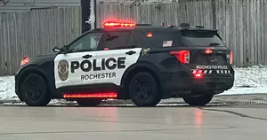 Waseca Man Charged for Rochester Dog Death