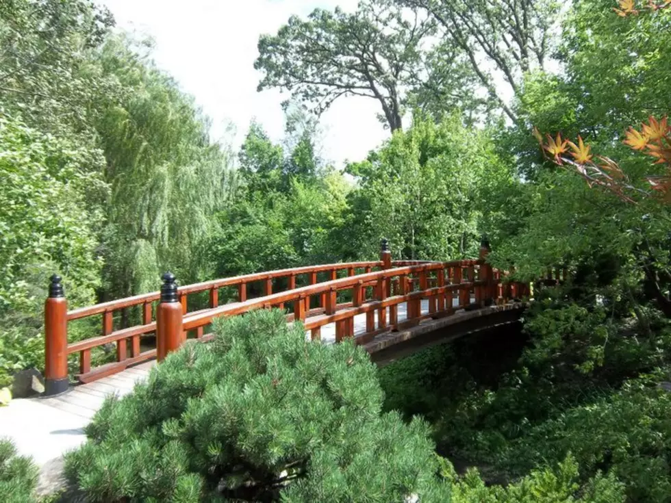 Sweet Sounds Fill Anderson Japanese Gardens This Summer