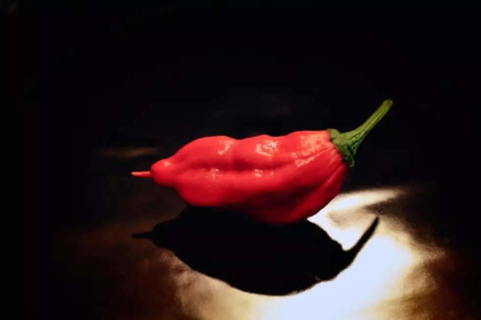 2 Guys Tackle the World&#8217;s Hottest Chili Pepper